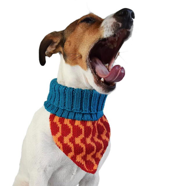 Hello Pets charmehalstørklæde - RESTSALG