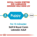 Royal Canin Labrador Retriever Puppy tørfoder til hvalp 12 kg