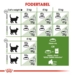 Royal Canin Kat Active Life Outdoor 10 kg