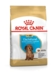 Royal Canin Dachshund Puppy 1,5 kg