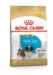 Royal Canin Shih Tzu Puppy 1,5 kg