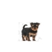 Royal Canin Yorkshire Terrier Puppy 1,5 kg