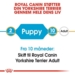 Royal Canin Yorkshire Terrier Puppy 1,5 kg