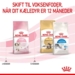 Royal Canin Kat Kitten 4-12 mdr 10 kg