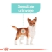 Royal Canin Urinary Care Mini 3 kg