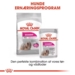 Royal Canin Exigent Mini 1 kg