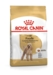 Royal Canin Poodle Adult 1,5 kg