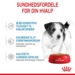 Royal Canin Mini Puppy vådfoder 12x85 g
