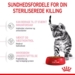 Royal Canin Kat Kitten Sterilised 2 kg