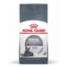 Royal Canin Kat Dental Care 8 kg