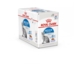 Royal Canin KAT Indoor Jelly vådfoder - Sterilised 12x85 g