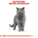 Royal Canin Kat British Shorthair Adult 10 kg