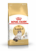 Royal Canin Kat Ragdoll Adult 10 kg