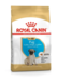 Royal Canin Pug Puppy 1.5 kg.