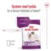 FRAGTSKADE - Royal Canin GIANT Adult 15 kg - FRAGTSKADET SÆK, INDHOLD OK