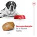 FRAGTSKADE - Royal Canin GIANT Adult 15 kg - FRAGTSKADET SÆK, INDHOLD OK