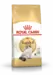 2 kg Royal Canin Kat Ragdoll Adult