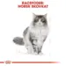 2 kg Royal Canin Norwegian Forest Cat / Norsk Skovkat Adult