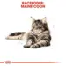 4 kg Royal Canin Kat Maine Coon Adult