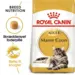 4 kg Royal Canin Kat Maine Coon Adult