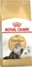 4 kg Royal Canin Persian Adult Kat