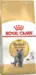 2 kg Royal Canin Kat British Shorthair Adult