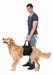 Lifting Aid / Løftehjælp til dit kæledyr - reststørrelser