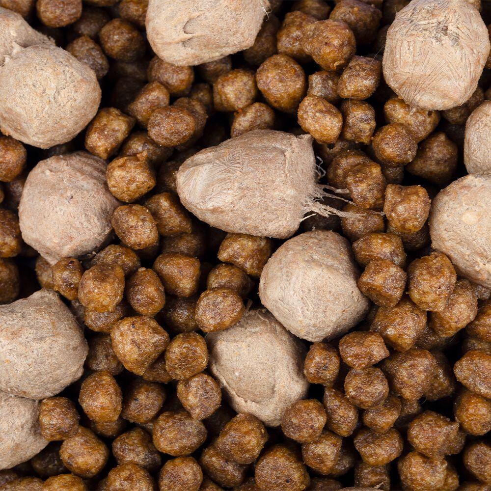 Dk Rind Brit Care Dog Mini - Freeze Dried Raw Delights Adult - Beef 2 kg ...
