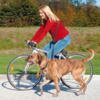 Joggingline - Cykelline til hund