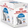 Royal Canin KAT Indoor Jelly vådfoder - Sterilised 12x85 g