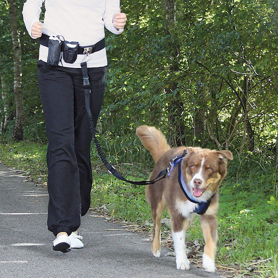 Løbesele - joggingline til hund - håndfri thumbnail