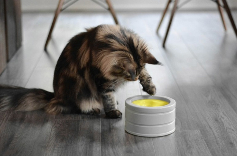 BOB intelligent foderskål til katte thumbnail