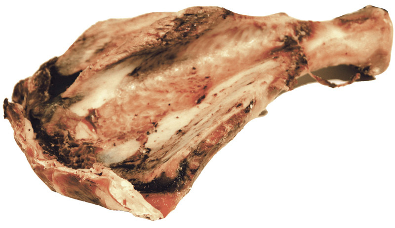 Tørret bovblad fra gris - ca. 20 cm thumbnail
