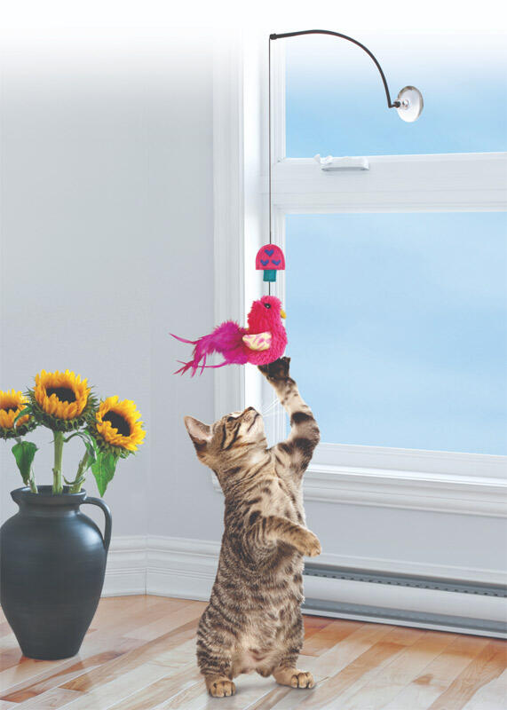 Kong Cat Window Teaser - til rude og køleskab thumbnail