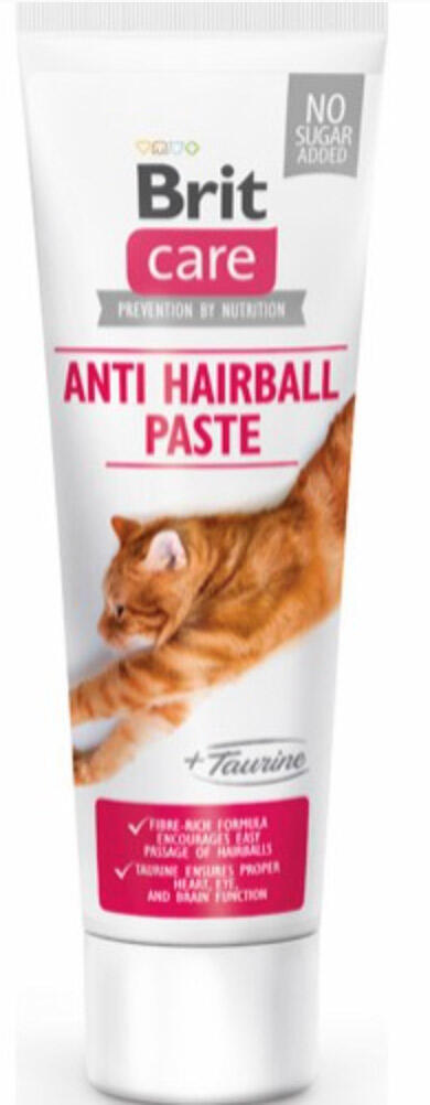 Care Cat Paster Anti Haurball + Taurine, 100 g thumbnail